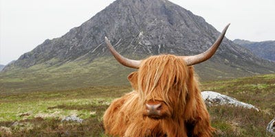 Coches de alquiler en Escocia