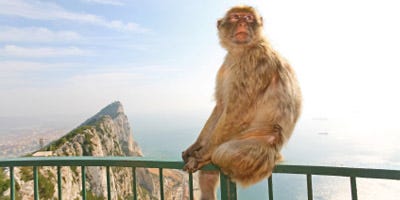 Coches de alquiler en Gibraltar