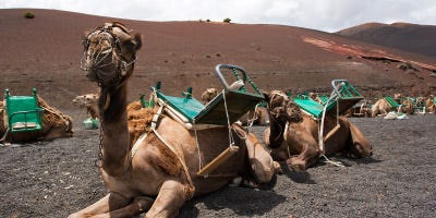 Coches de alquiler en Lanzarote