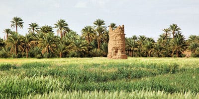 Coches de alquiler en Oujda