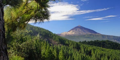 Coches de alquiler en Tenerife